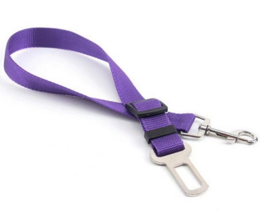 Buddy Belt