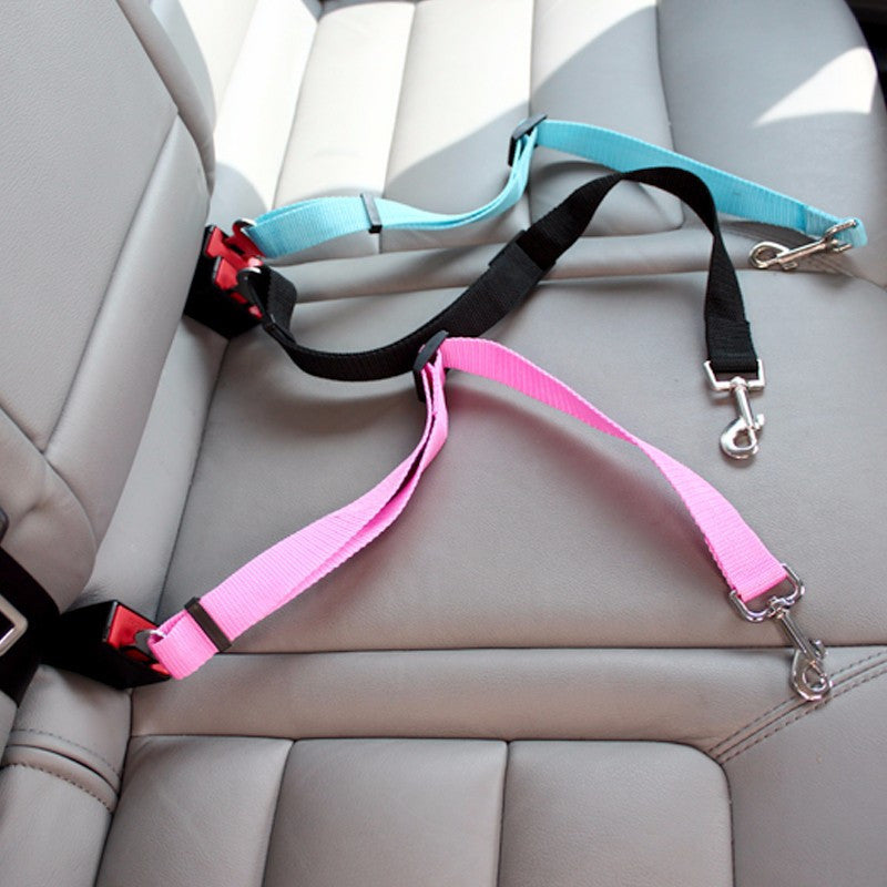 Buddy Belt