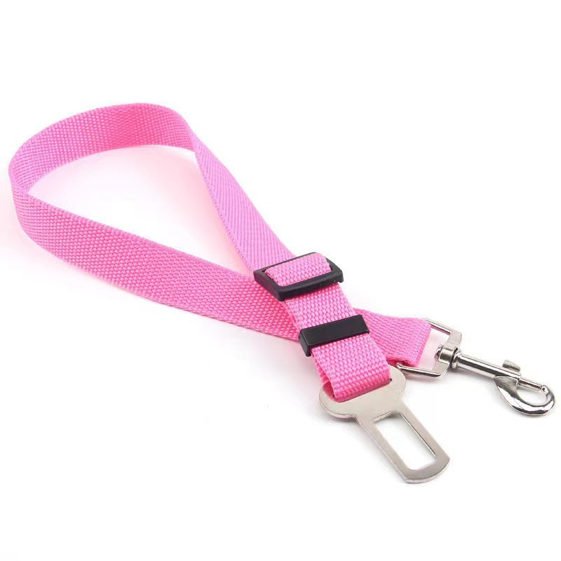 Buddy Belt