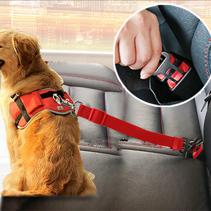 Buddy Belt