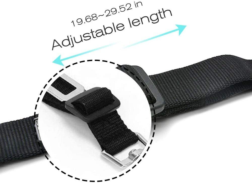 Buddy Belt