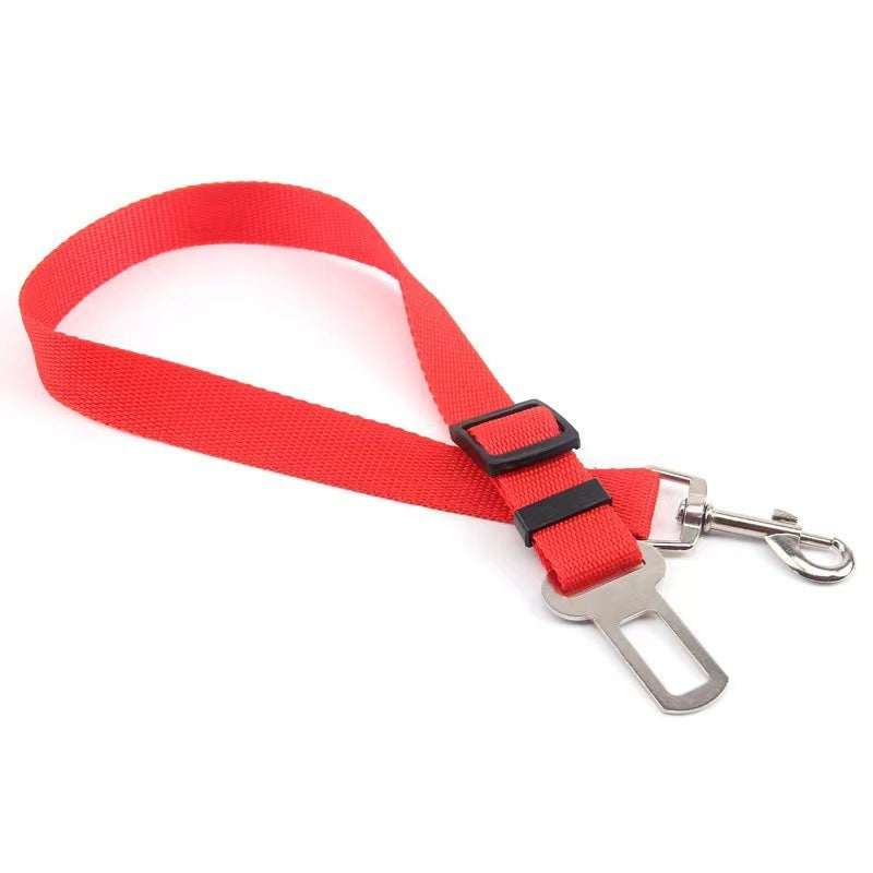 Buddy Belt