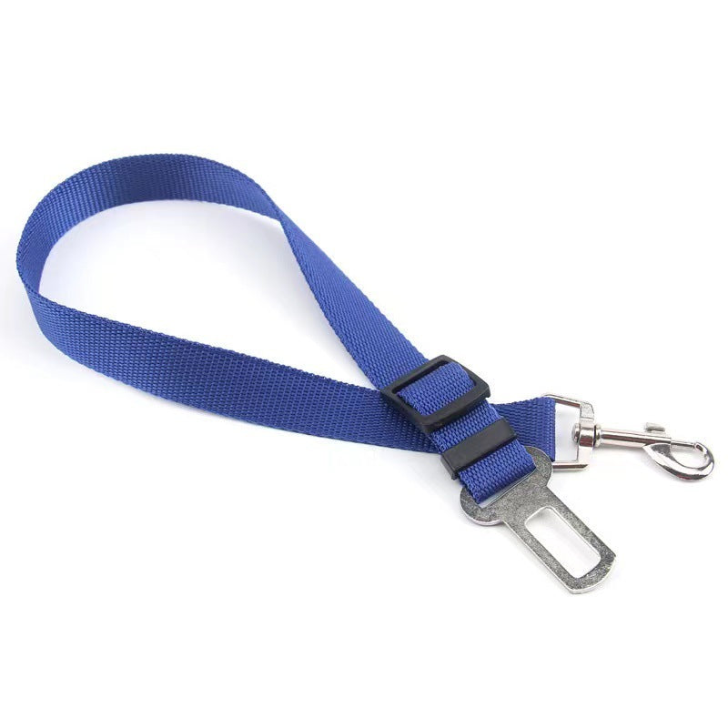 Buddy Belt