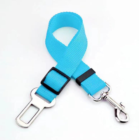 Buddy Belt