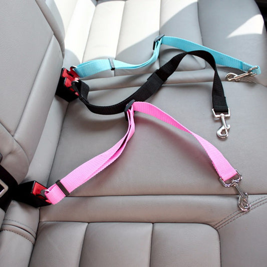 Buddy Belt